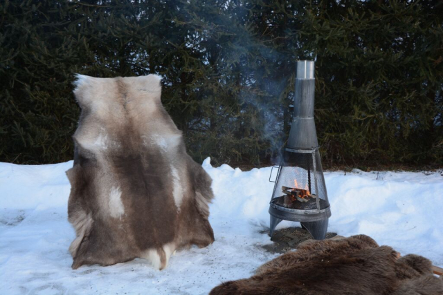 Rentierfell Great Wild Lion XXXL